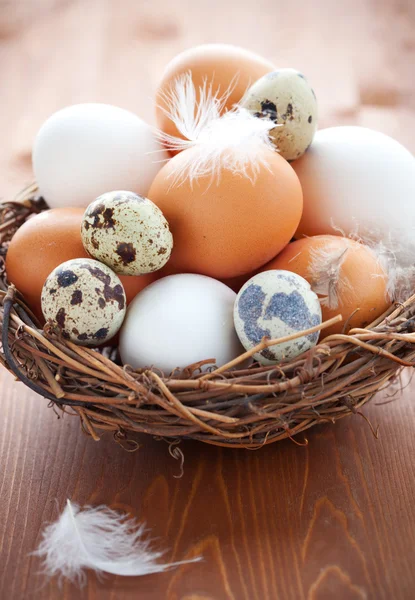 Eggs in a nest on a wooden table — Stock Photo, Image