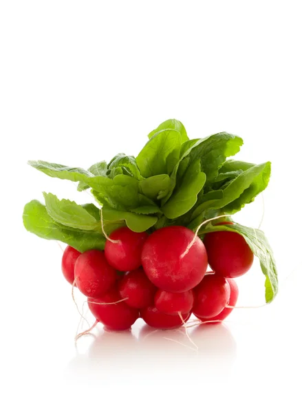 Fresh red radish — Stock Photo, Image