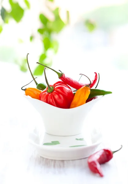 Mixed hot peppers — Stock Photo, Image