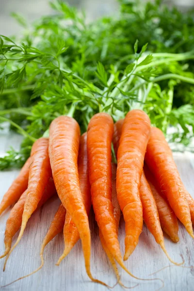 गाजर — स्टॉक फ़ोटो, इमेज
