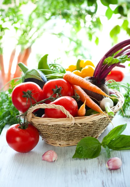 Vegyes zöldség — Stock Fotó