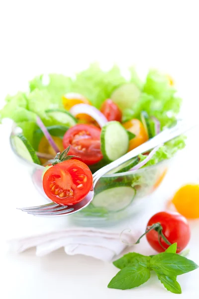 Tomaten-Gurken-Salat — Stockfoto