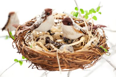 Birds and eggs in an Easter nest clipart