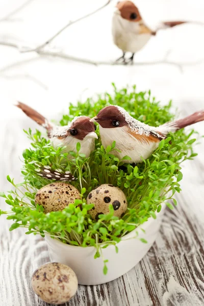 Birds and eggs on the cress — Stock Photo, Image