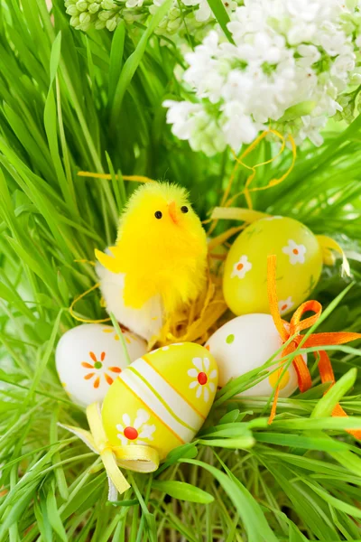 Easter chick and eggs — Stock Photo, Image