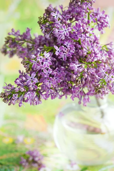 Lilac IN VASE — Stock Photo, Image