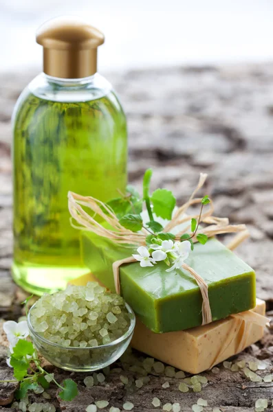 SPA produits de soins de beauté — Photo