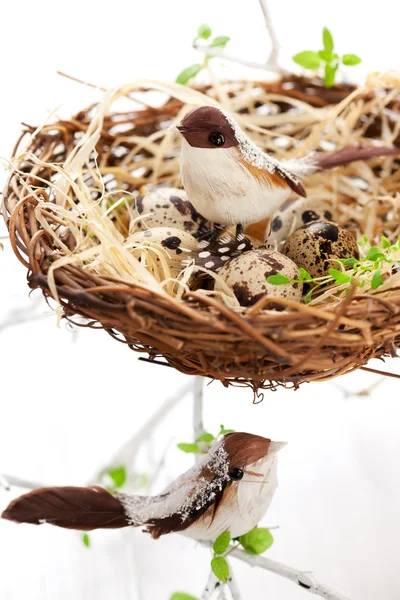 Pájaros y huevos en un nido de Pascua — Foto de Stock