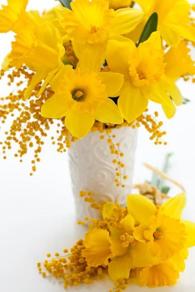 Narcissus and mimosa — Stock Photo, Image