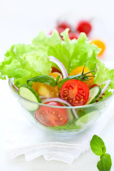 Salade de tomates et de concombre — Photo