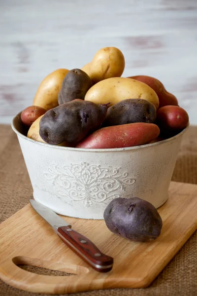 Inne młode ziemniaki — Zdjęcie stockowe