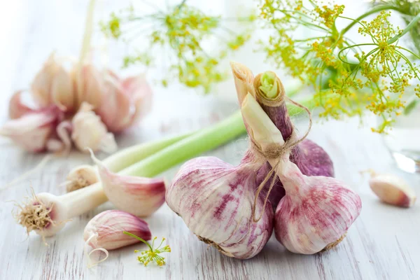 stock image Fresh garlic