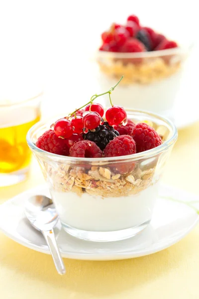 Joghurt, Müsli, Beeren und Honig — Stockfoto