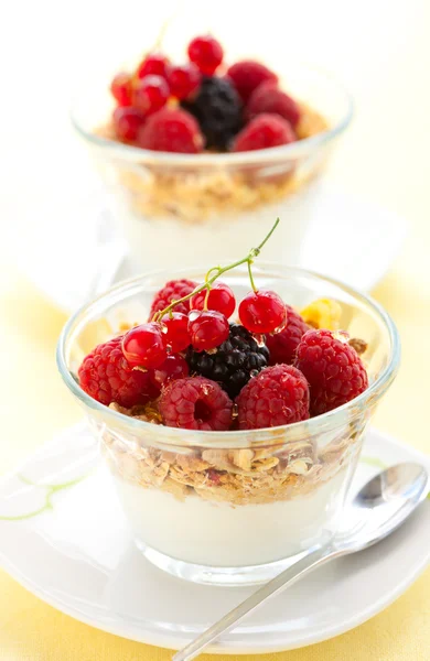 Yogurt ,muesli ,berries and honey — Stock Photo, Image
