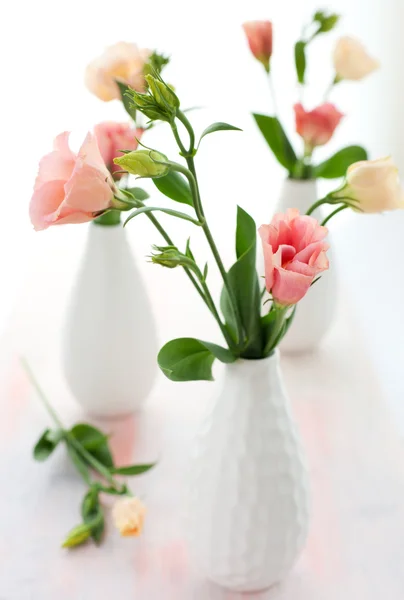 Różowy lisianthus — Zdjęcie stockowe