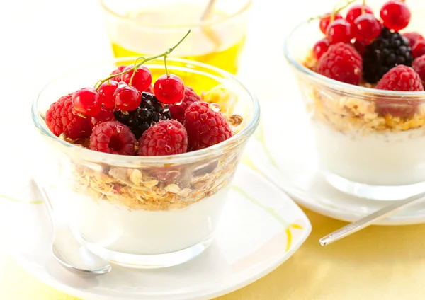 Jogurt, muesli, owoców i miodu — Zdjęcie stockowe