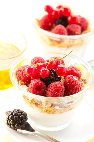 Yogurt ,muesli ,berries and honey — Stock Photo, Image