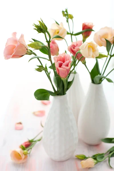 Růžový lisianthus — Stock fotografie