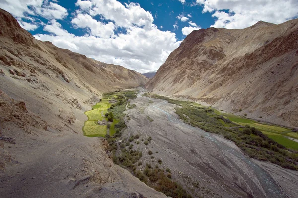 Индийский гималайский ландшафт в долине Марка, Северная Индия — стоковое фото