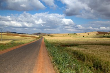 Bilinmeyen için önde gelen yol ile peyzaj