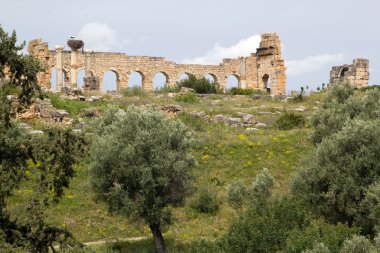 eski Roma sütunları ve leylek, volubilis, mor citry giriş