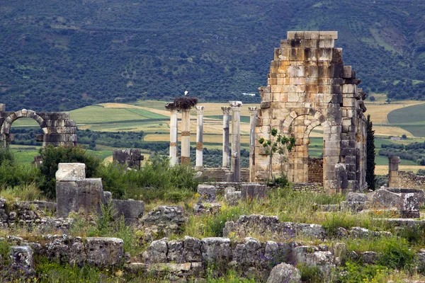 Ruínas antigas da entrada da cidade romana, Volubilis — Fotografia de Stock