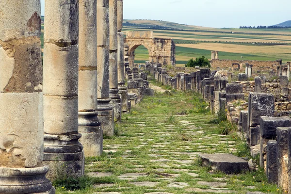 Antiguas columnas romanas y entrada de la ciudad, Volubilis, Marruecos — Foto de Stock