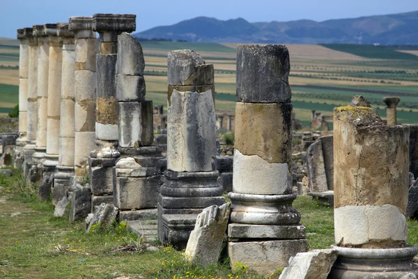 Gamla romerska kolonner, volubilis, Marocko — Stockfoto