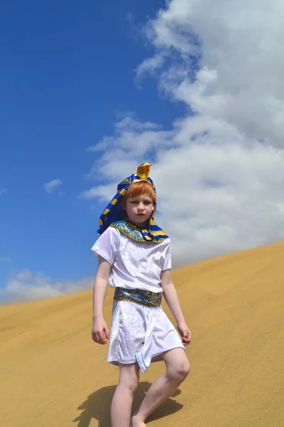 Маленький фараон — стоковое фото