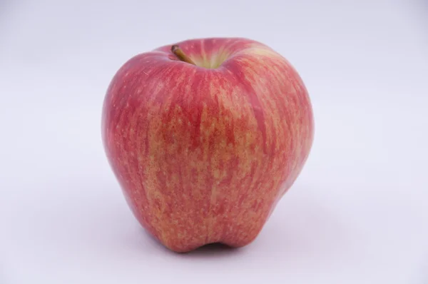 stock image Red apple on a white background