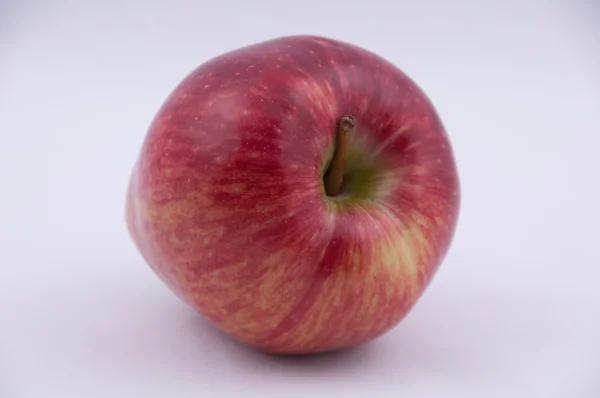 stock image Red apple on a white background