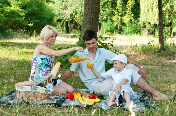 屋外に家族 picnick を観察し — ストック写真