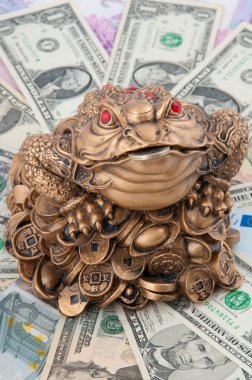 Kurbağa paranın üstünde oturuyor. dolar para kurbağa bir