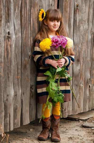 Una chica con un ramo de crisantemos contra una valla de madera . —  Fotos de Stock