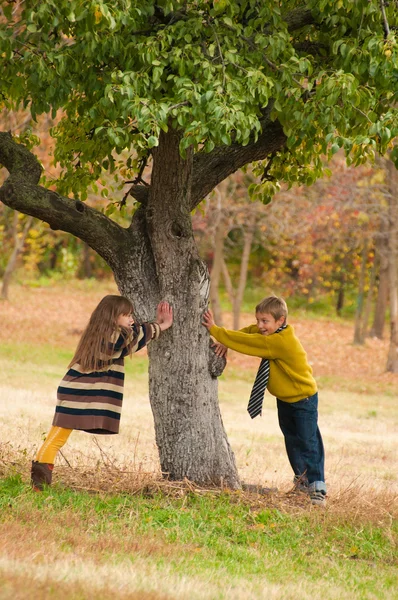 De jongen met het meisje permanent in de buurt van een boom. — Stockfoto