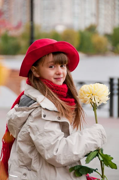 Hermosa chica con flores en sus manos. crisantemo —  Fotos de Stock