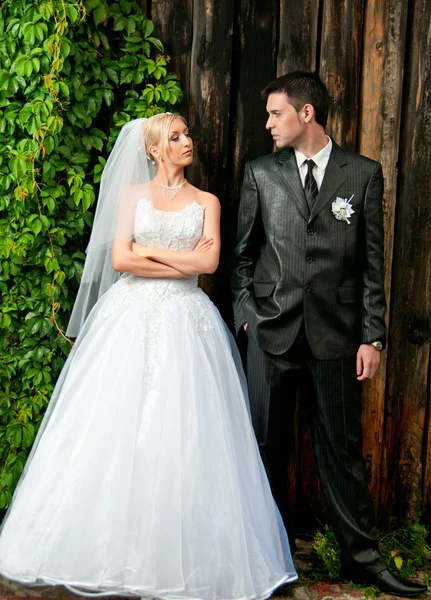 Newlyweds are strictly looking at each other. Stock Picture