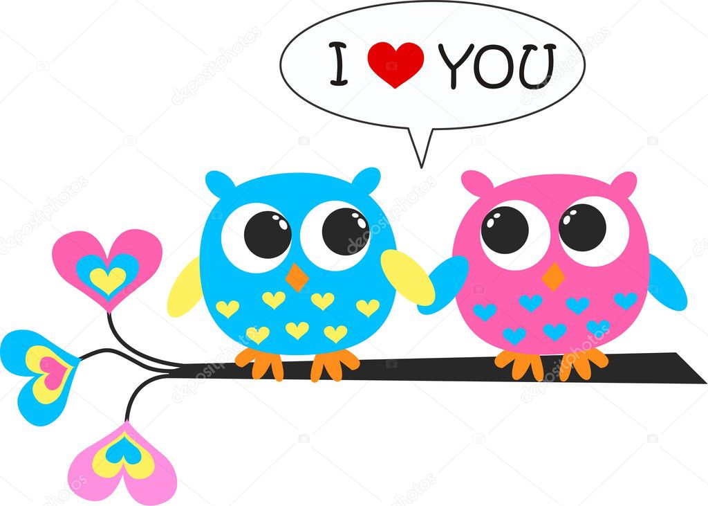 Two owls in love
