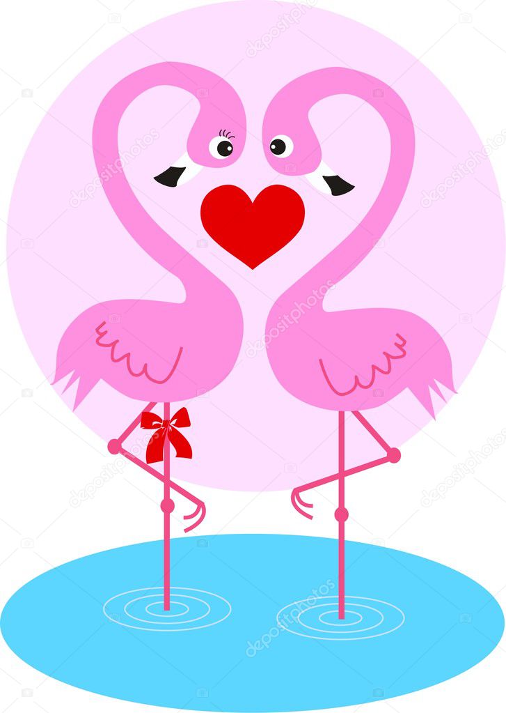 Two flamingo birds in love