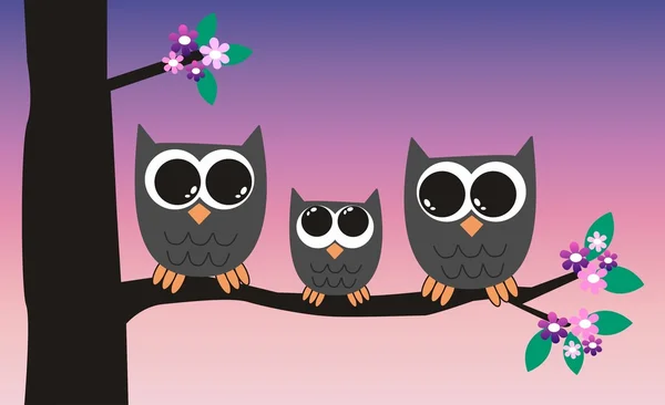 Rodziny cute little owl — Wektor stockowy