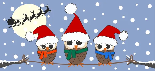 Merry christmas owl owls family — Stock Vector