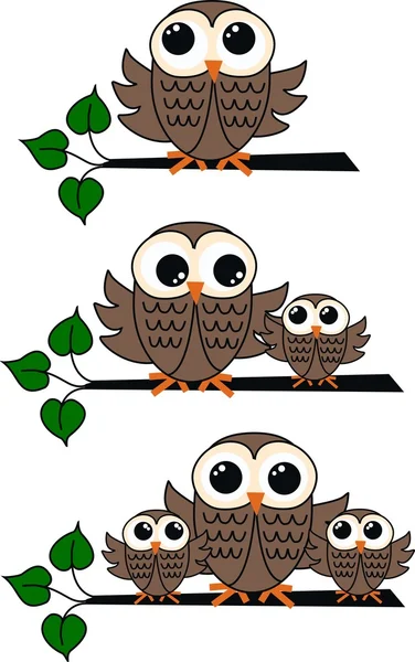 Brown owls — Stockvector