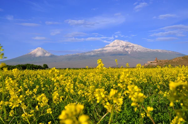 Large and small Ararat in Armenia — Stock Photo, Image