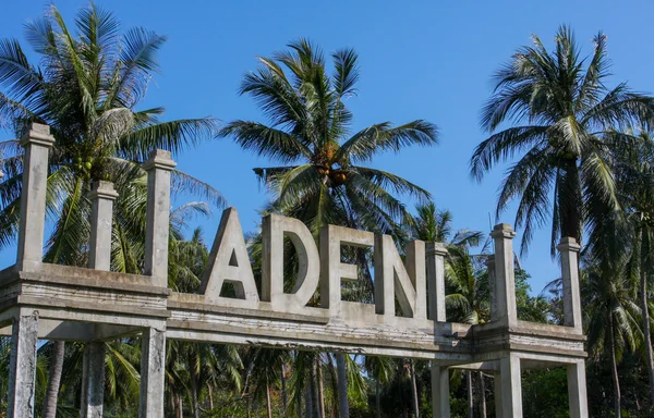 Paradiso di Adeni con palma — Foto Stock