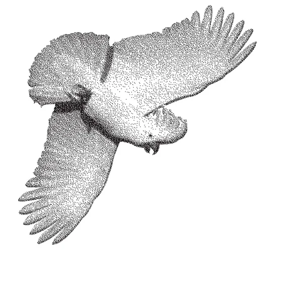 Cockatoo Royalty Free Stock Vectors