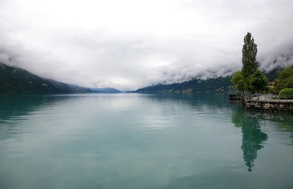 Meditative Landschaft des Brienzersees, Schweiz — Stockfoto