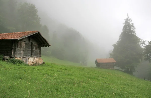 stock image Mist in Alps