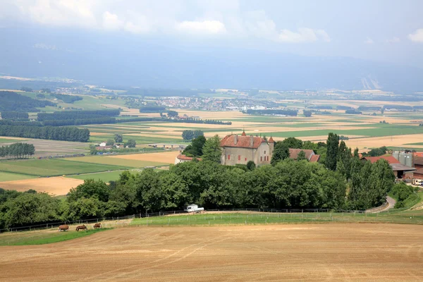 En av landsbygden i Schweiz — Stockfoto