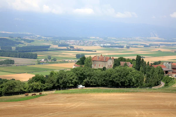 stock image One of the countryside in Switzerland