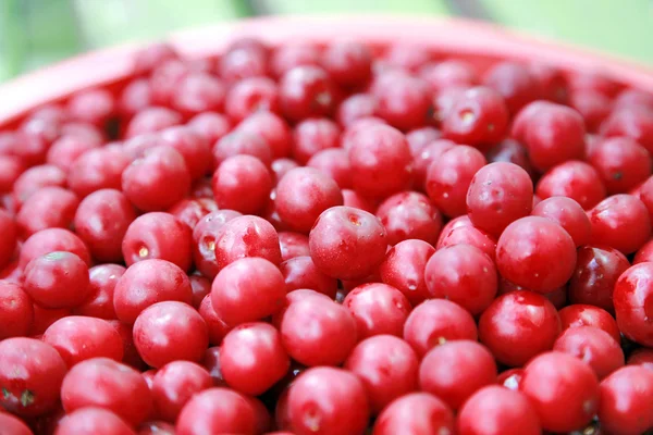 Red cherry background — Stock Photo, Image